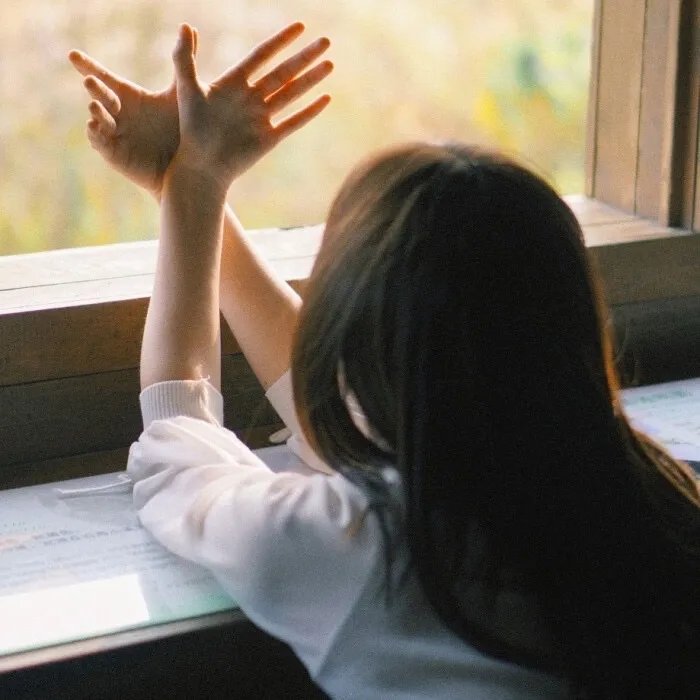 牙狼：钢之继承者